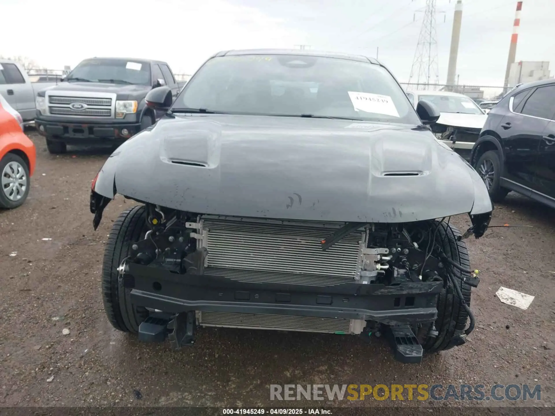 6 Photograph of a damaged car ZACNDFBN6R3A25456 DODGE HORNET 2024