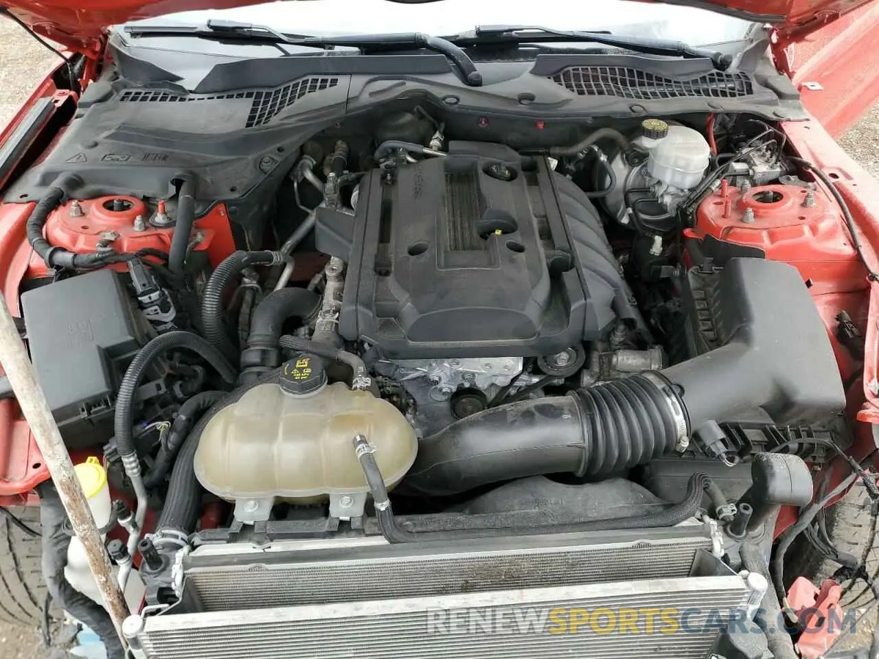 11 Photograph of a damaged car 1FA6P8TH0K5160008 FORD ALL Models 2019