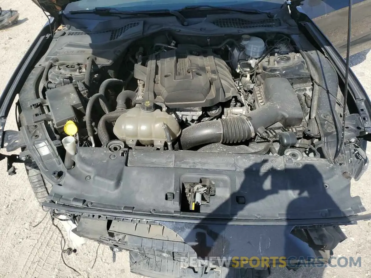 11 Photograph of a damaged car 1FA6P8TH0K5168688 FORD ALL Models 2019