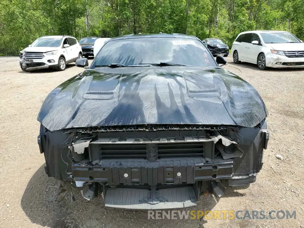 5 Photograph of a damaged car 1FA6P8TH0K5177357 FORD ALL Models 2019
