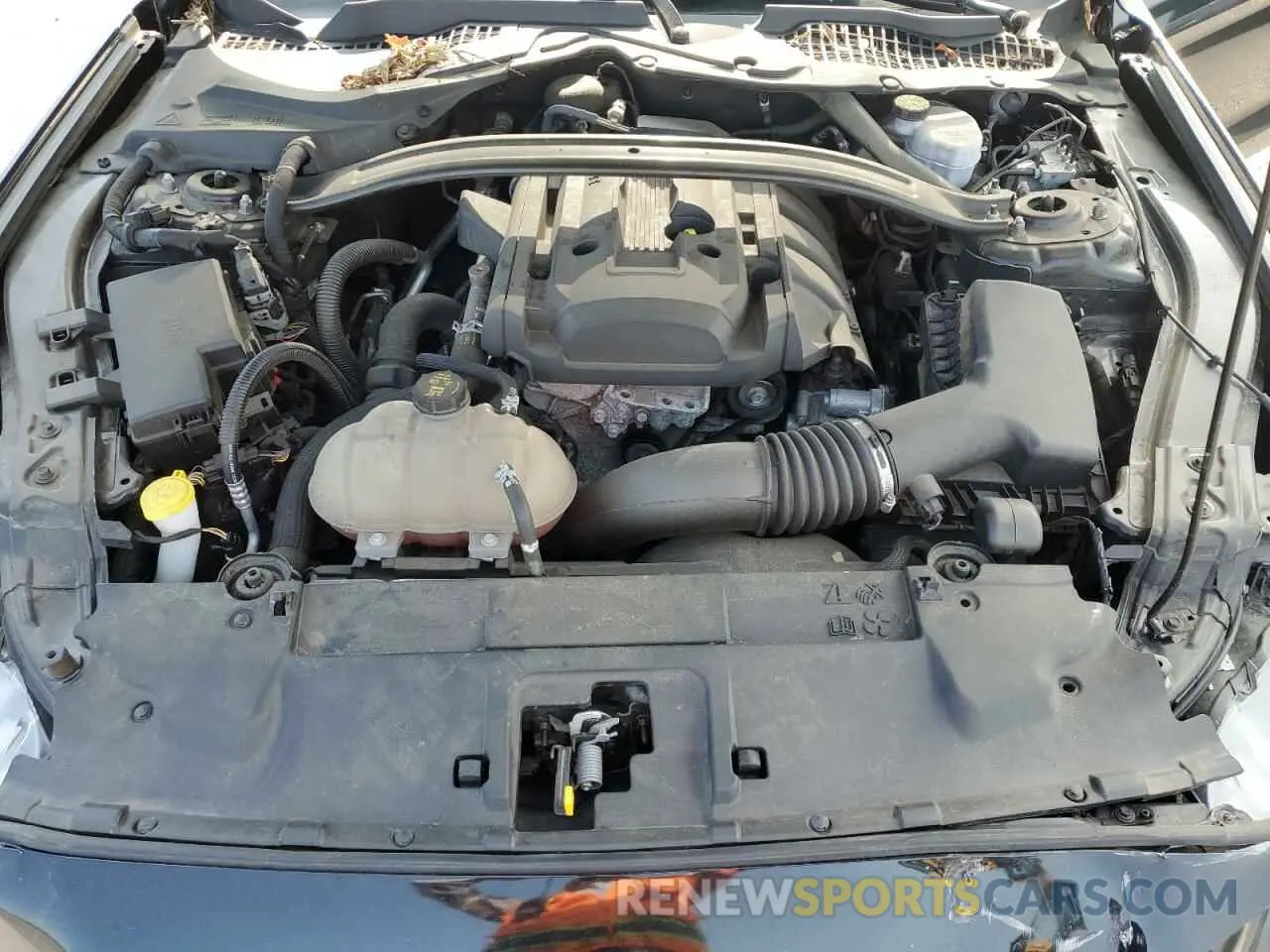 11 Photograph of a damaged car 1FA6P8TH0K5184275 FORD ALL Models 2019