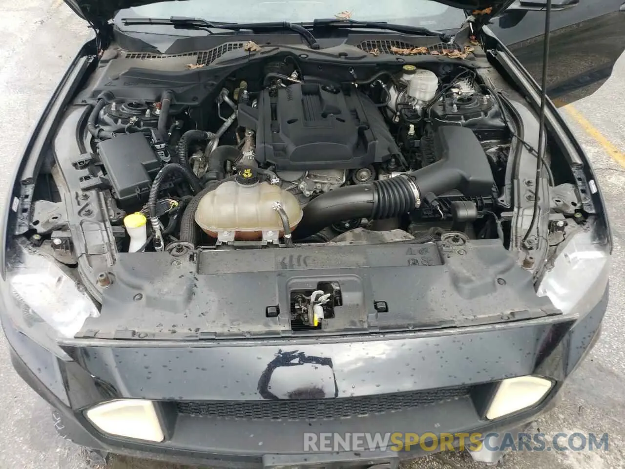 11 Photograph of a damaged car 1FA6P8TH1K5152239 FORD ALL Models 2019
