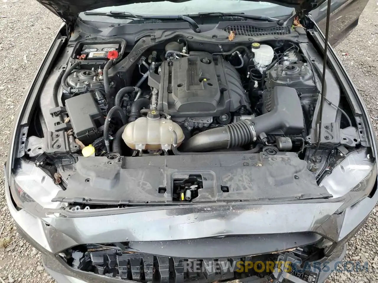 11 Photograph of a damaged car 1FA6P8TH2K5195780 FORD ALL Models 2019