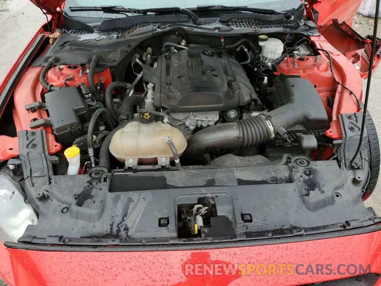 11 Photograph of a damaged car 1FA6P8TH2K5205367 FORD ALL Models 2019