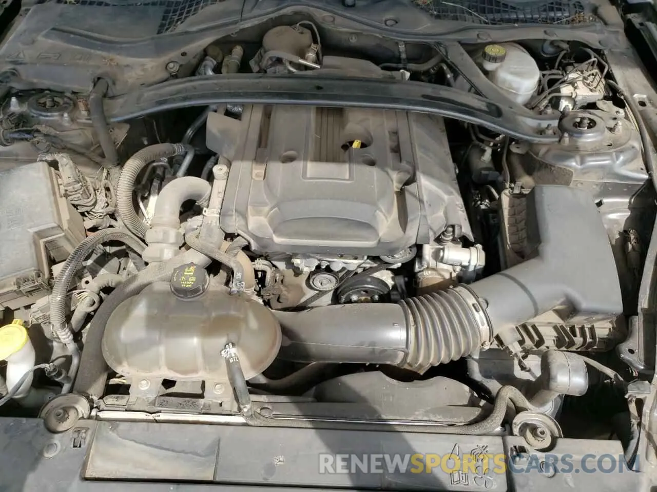 11 Photograph of a damaged car 1FA6P8TH3K5135569 FORD ALL Models 2019