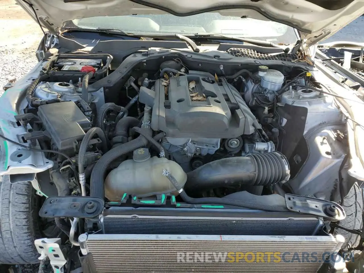 11 Photograph of a damaged car 1FA6P8TH3K5142019 FORD ALL Models 2019