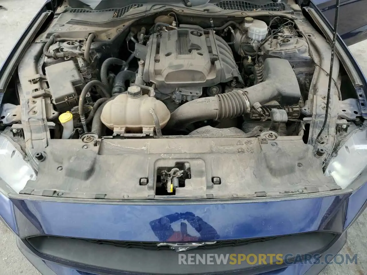 11 Photograph of a damaged car 1FA6P8TH4K5130686 FORD ALL Models 2019