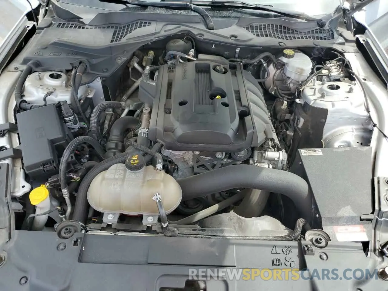 11 Photograph of a damaged car 1FA6P8TH4K5143552 FORD ALL Models 2019