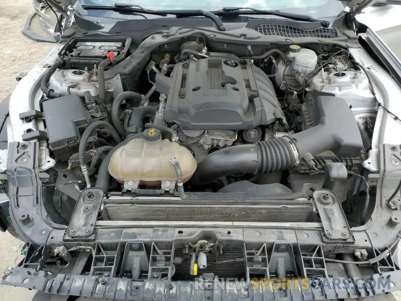 11 Photograph of a damaged car 1FA6P8TH4K5161291 FORD ALL Models 2019