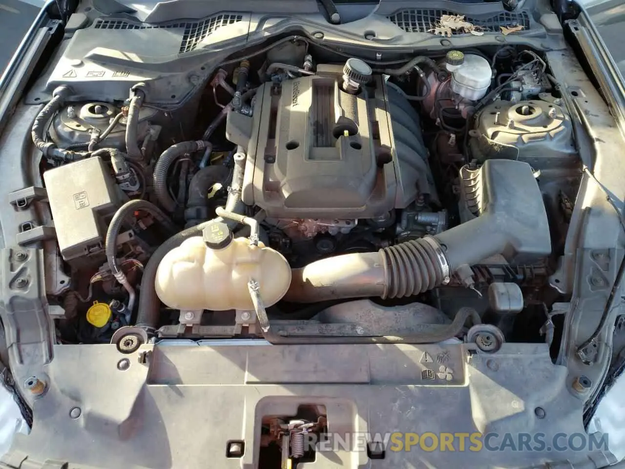 12 Photograph of a damaged car 1FA6P8TH5K5143267 FORD ALL Models 2019