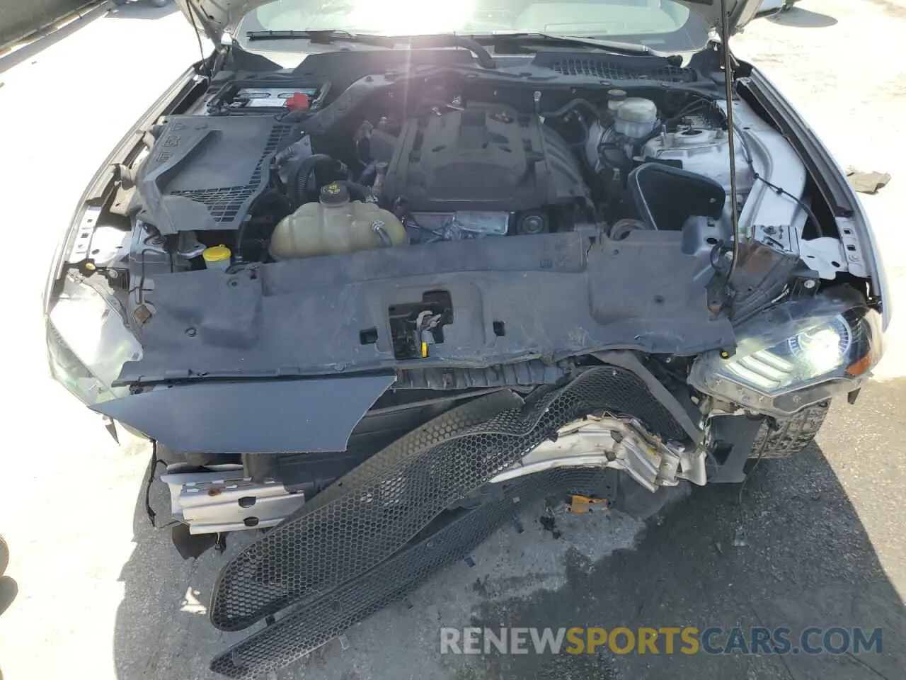 11 Photograph of a damaged car 1FA6P8TH5K5150784 FORD ALL Models 2019