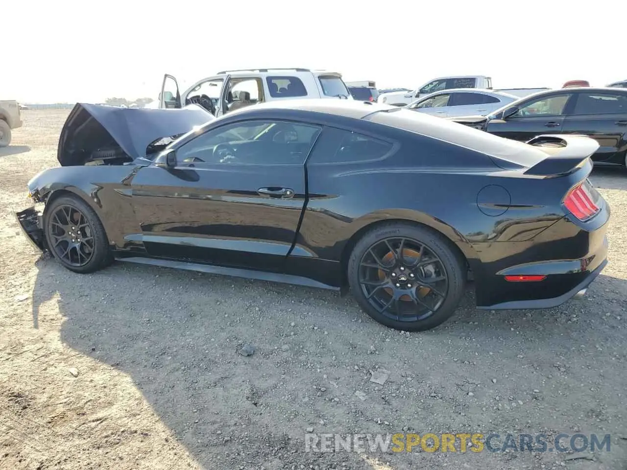 2 Photograph of a damaged car 1FA6P8TH5K5201720 FORD ALL Models 2019