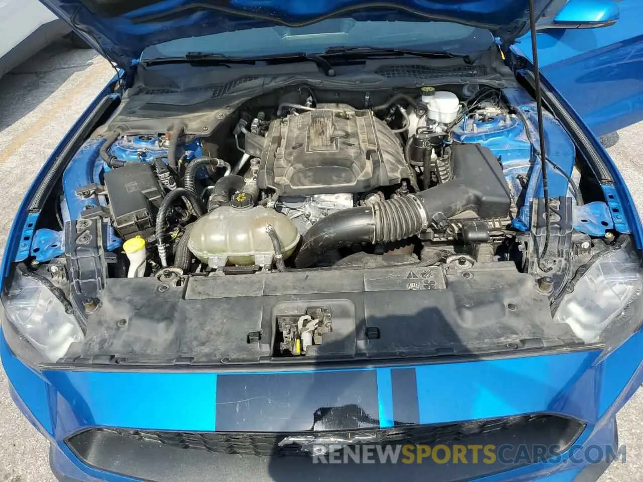 11 Photograph of a damaged car 1FA6P8TH6K5124372 FORD ALL Models 2019