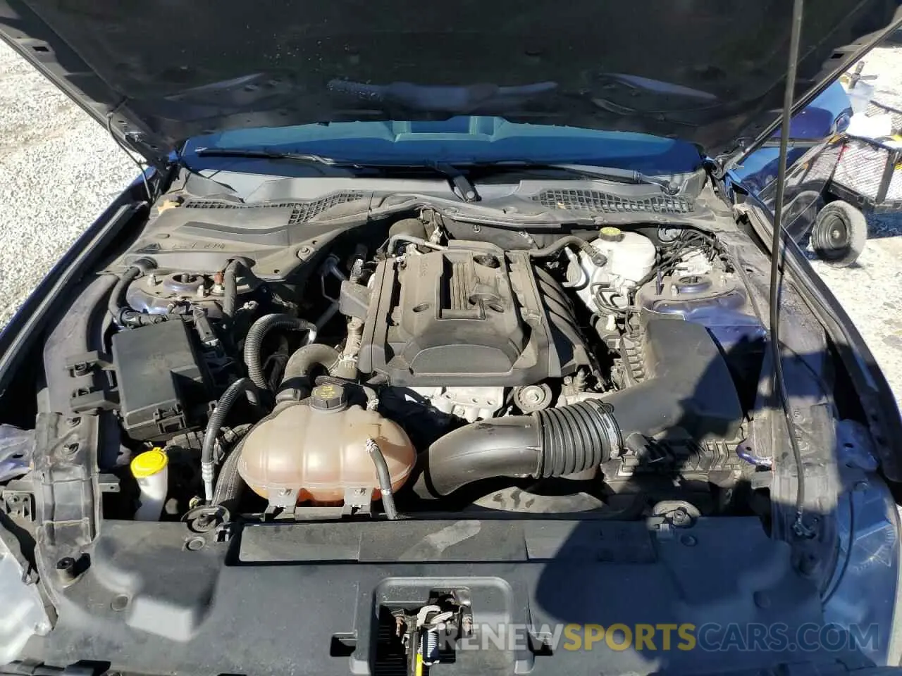 13 Photograph of a damaged car 1FA6P8TH6K5182630 FORD ALL Models 2019