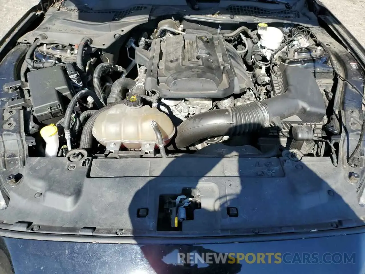 12 Photograph of a damaged car 1FA6P8TH6K5198830 FORD ALL Models 2019