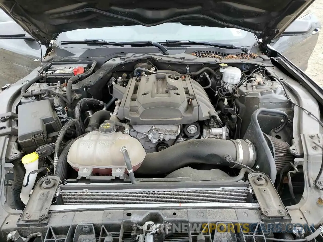 11 Photograph of a damaged car 1FA6P8TH7K5200651 FORD ALL Models 2019