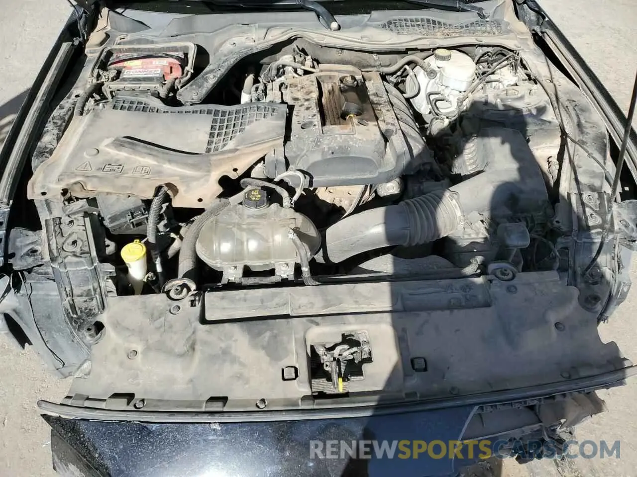 11 Photograph of a damaged car 1FA6P8TH8K5115091 FORD ALL Models 2019