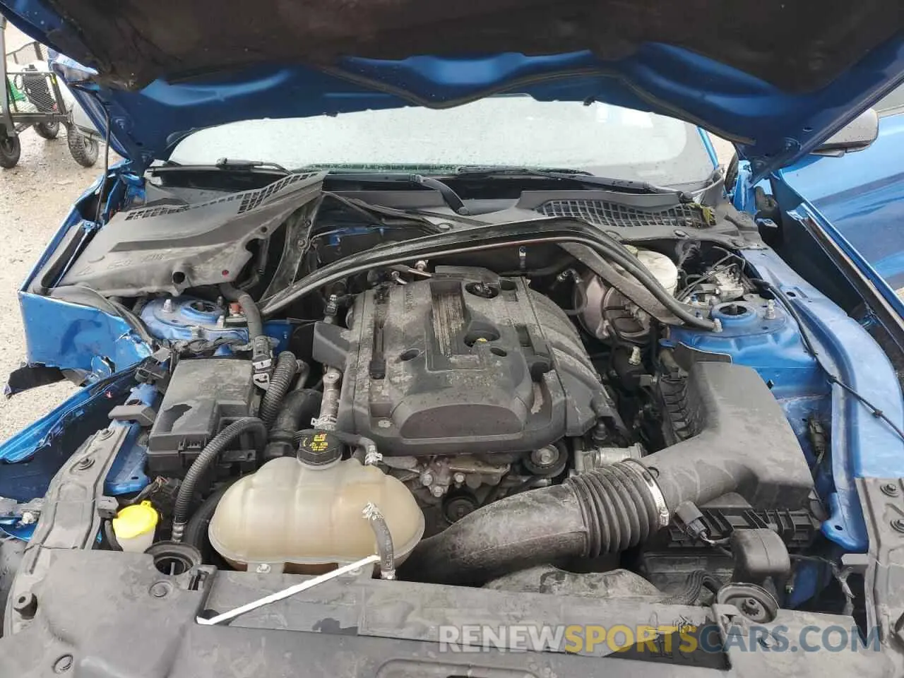 11 Photograph of a damaged car 1FA6P8TH8K5117794 FORD ALL Models 2019