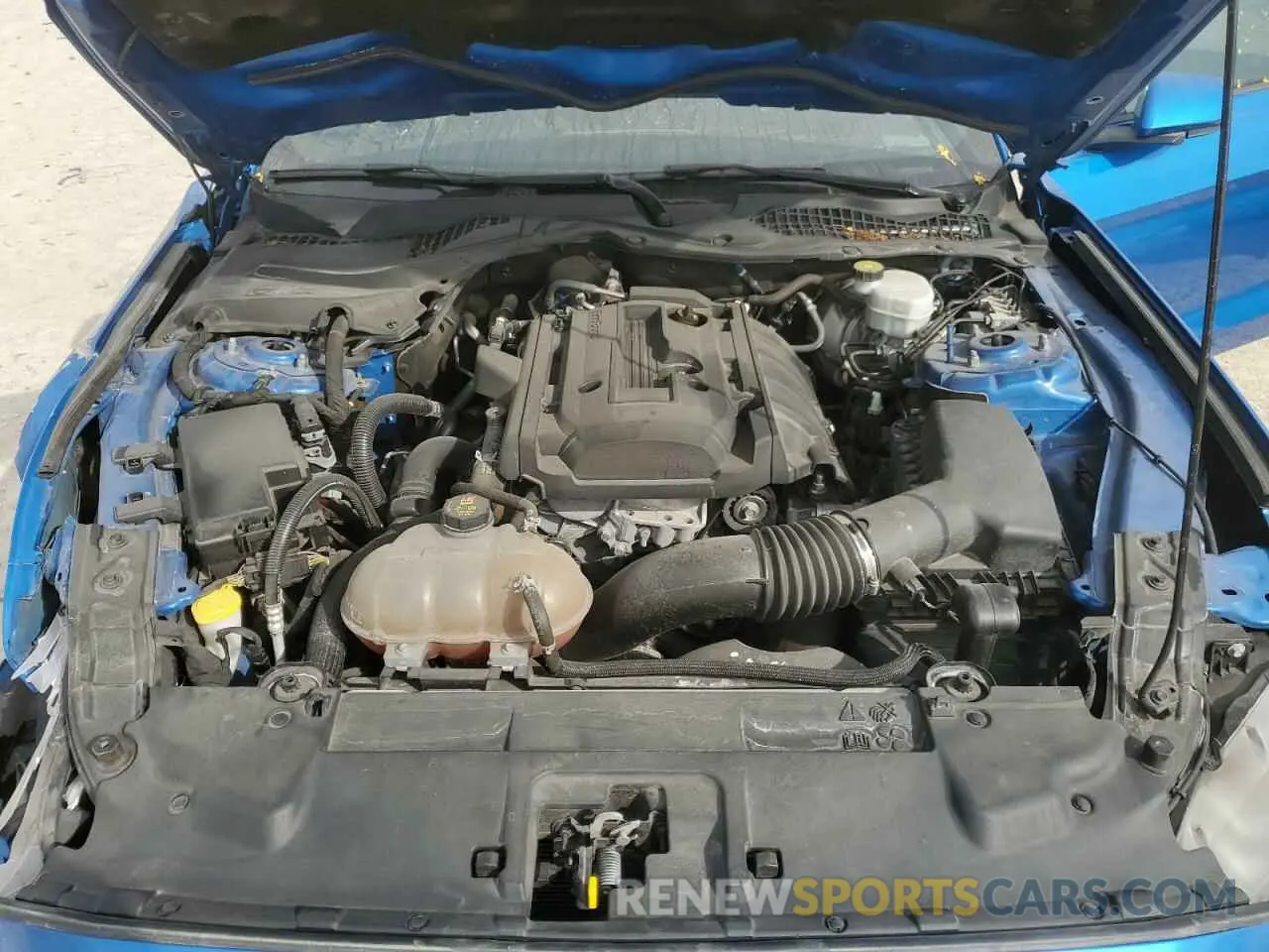 11 Photograph of a damaged car 1FA6P8THXK5108935 FORD ALL Models 2019
