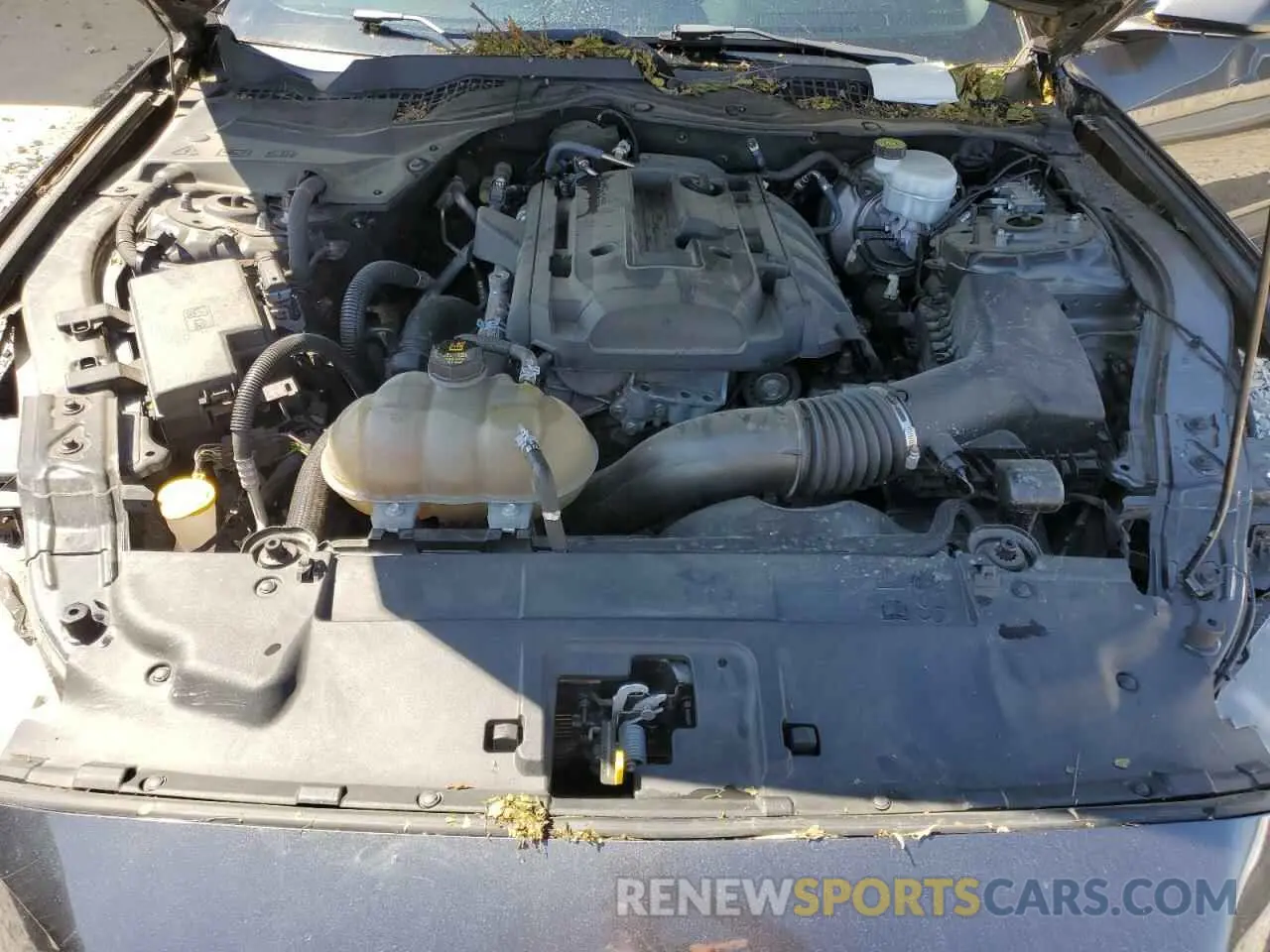 11 Photograph of a damaged car 1FA6P8THXK5129218 FORD ALL Models 2019