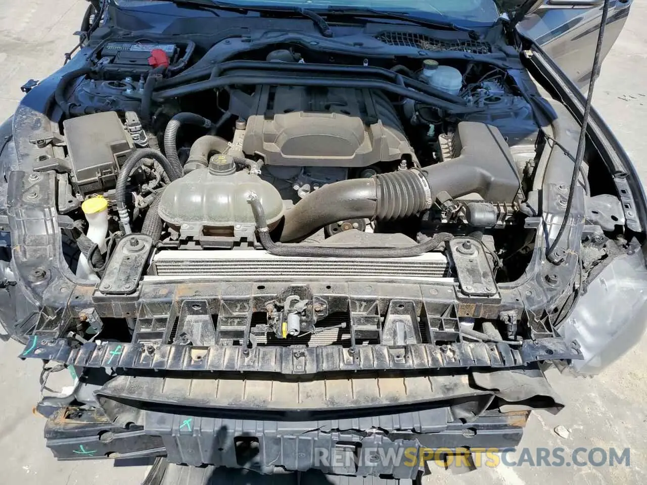 11 Photograph of a damaged car 1FA6P8THXK5141899 FORD ALL Models 2019