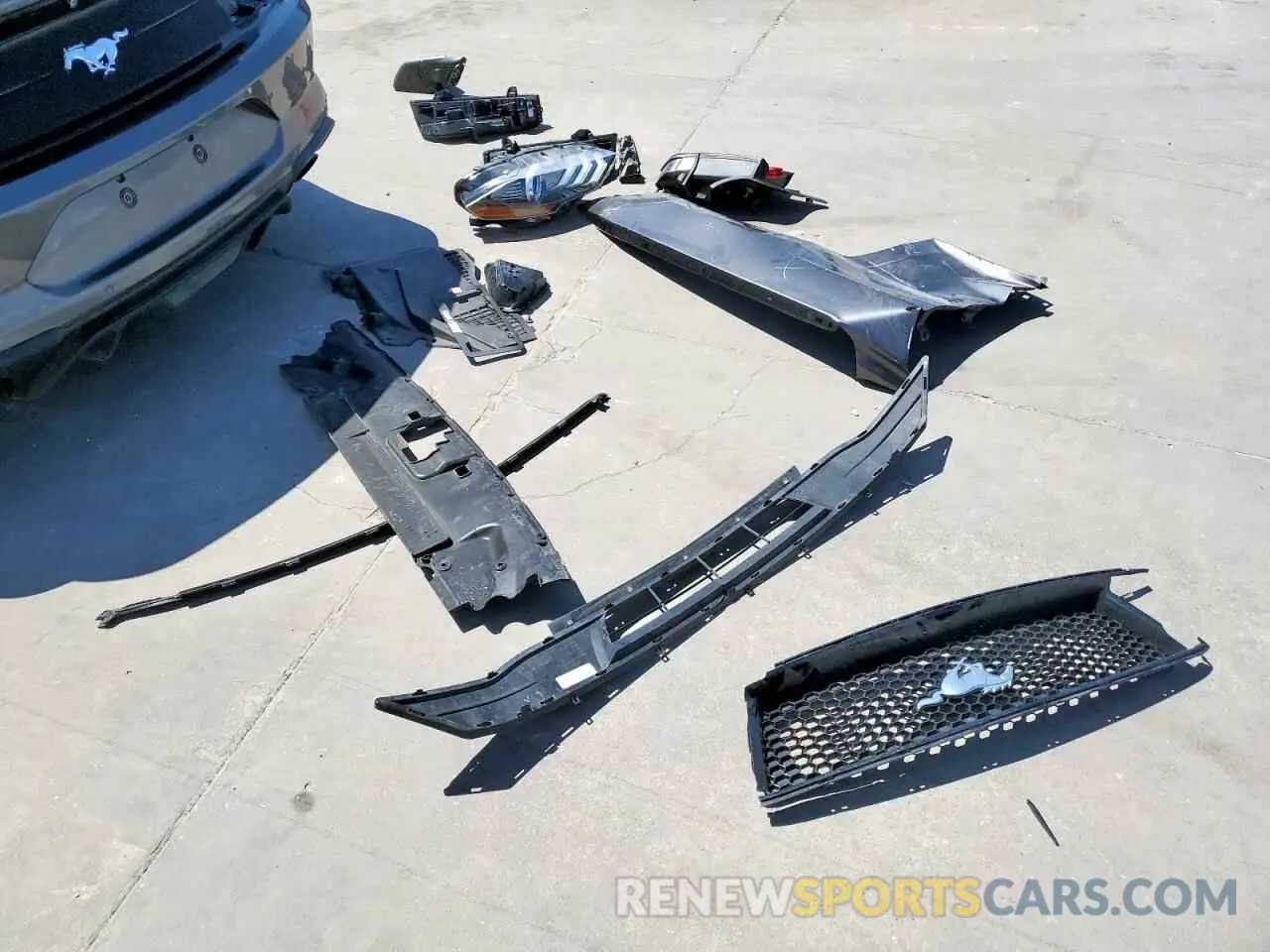 12 Photograph of a damaged car 1FA6P8THXK5141899 FORD ALL Models 2019