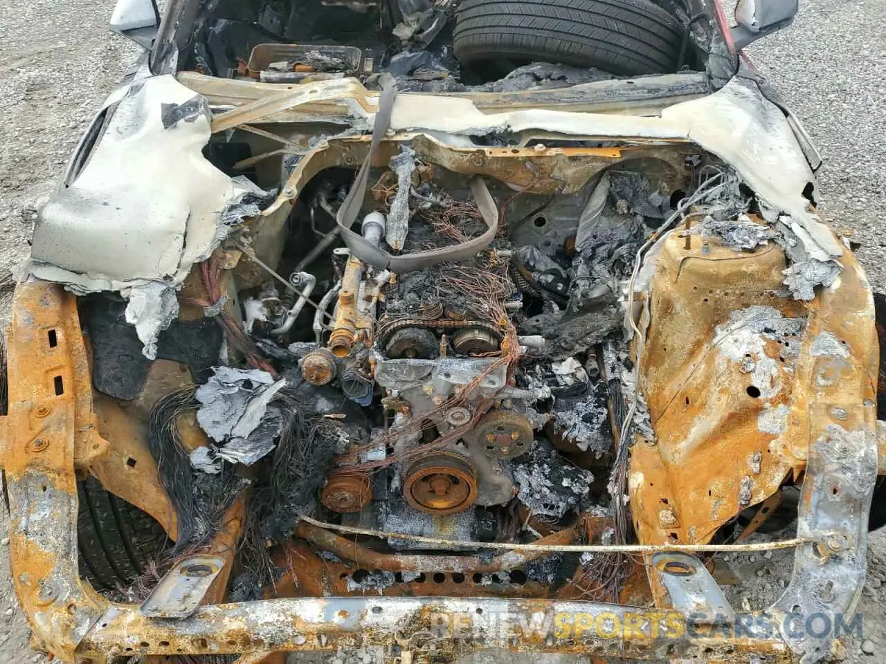 11 Photograph of a damaged car 1FA6P8THXK5168049 FORD ALL Models 2019