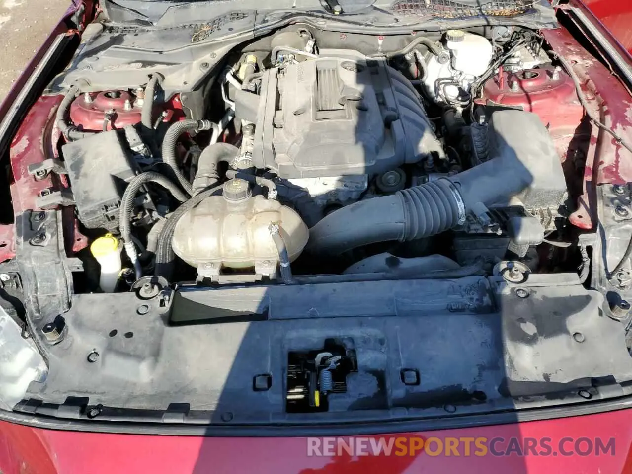 11 Photograph of a damaged car 1FA6P8THXK5173655 FORD ALL Models 2019