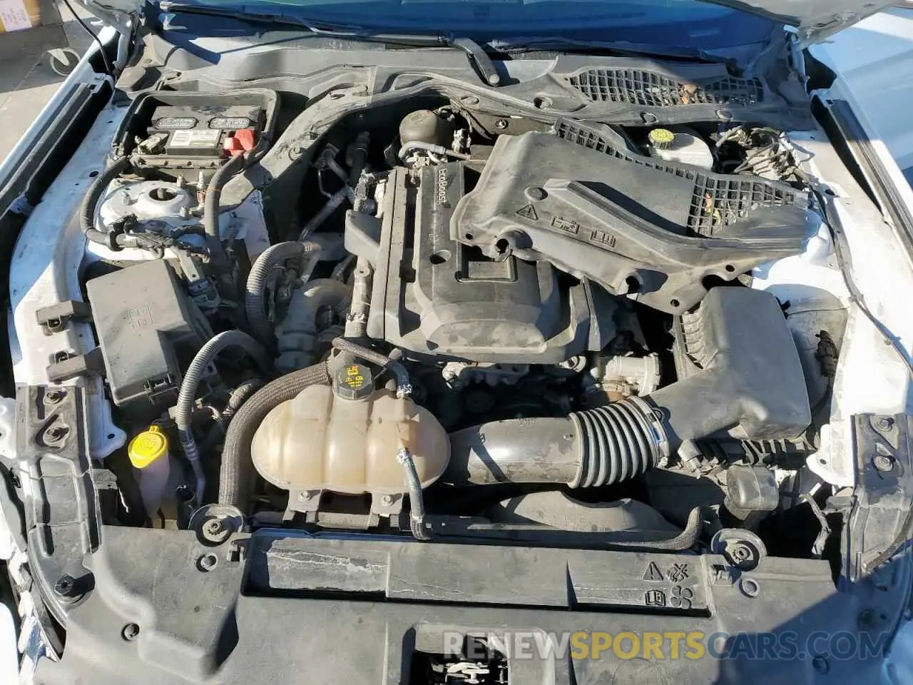 11 Photograph of a damaged car 1FATP8UH0K5104233 FORD ALL Models 2019