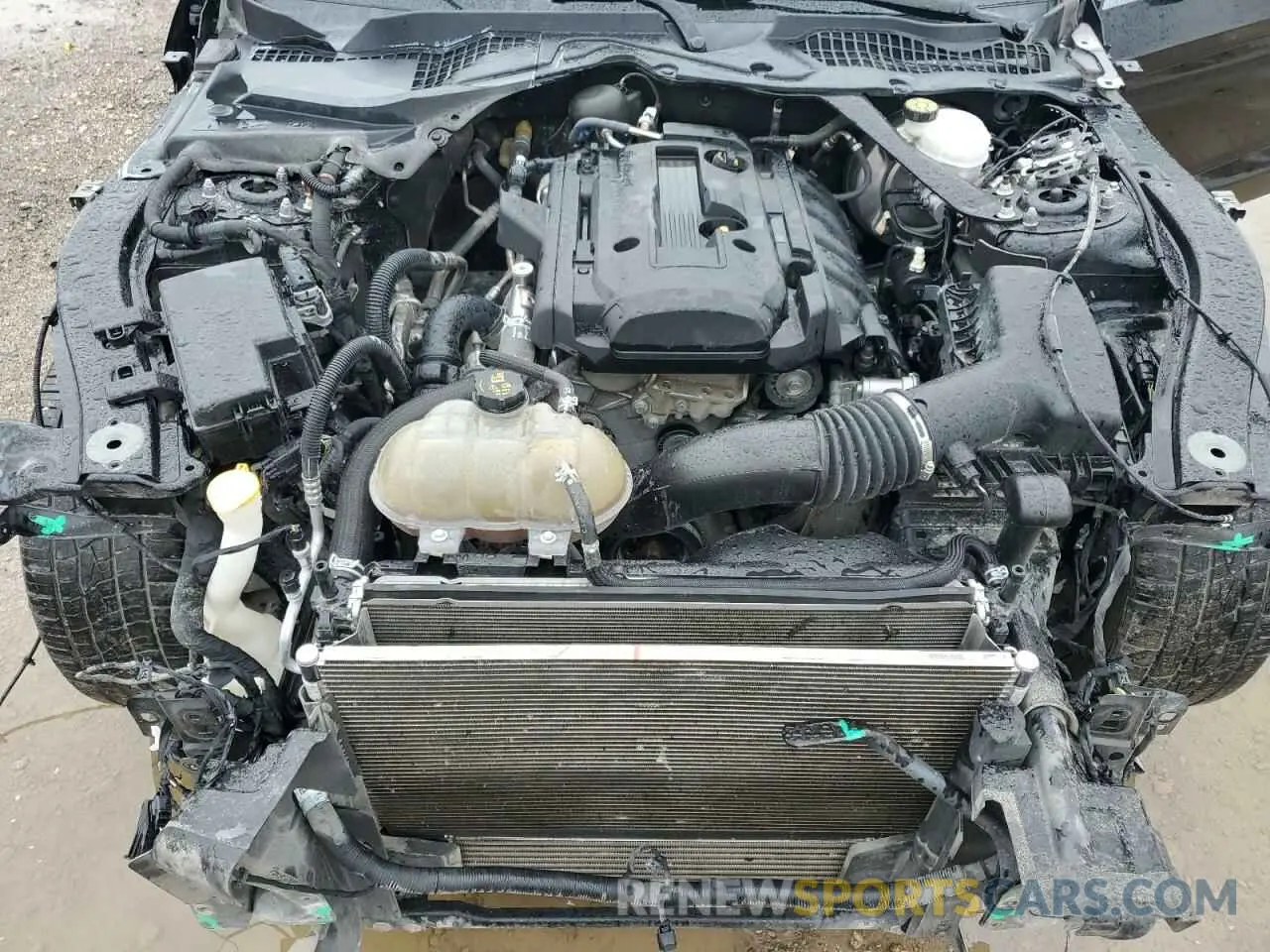 11 Photograph of a damaged car 1FATP8UH0K5150001 FORD ALL Models 2019
