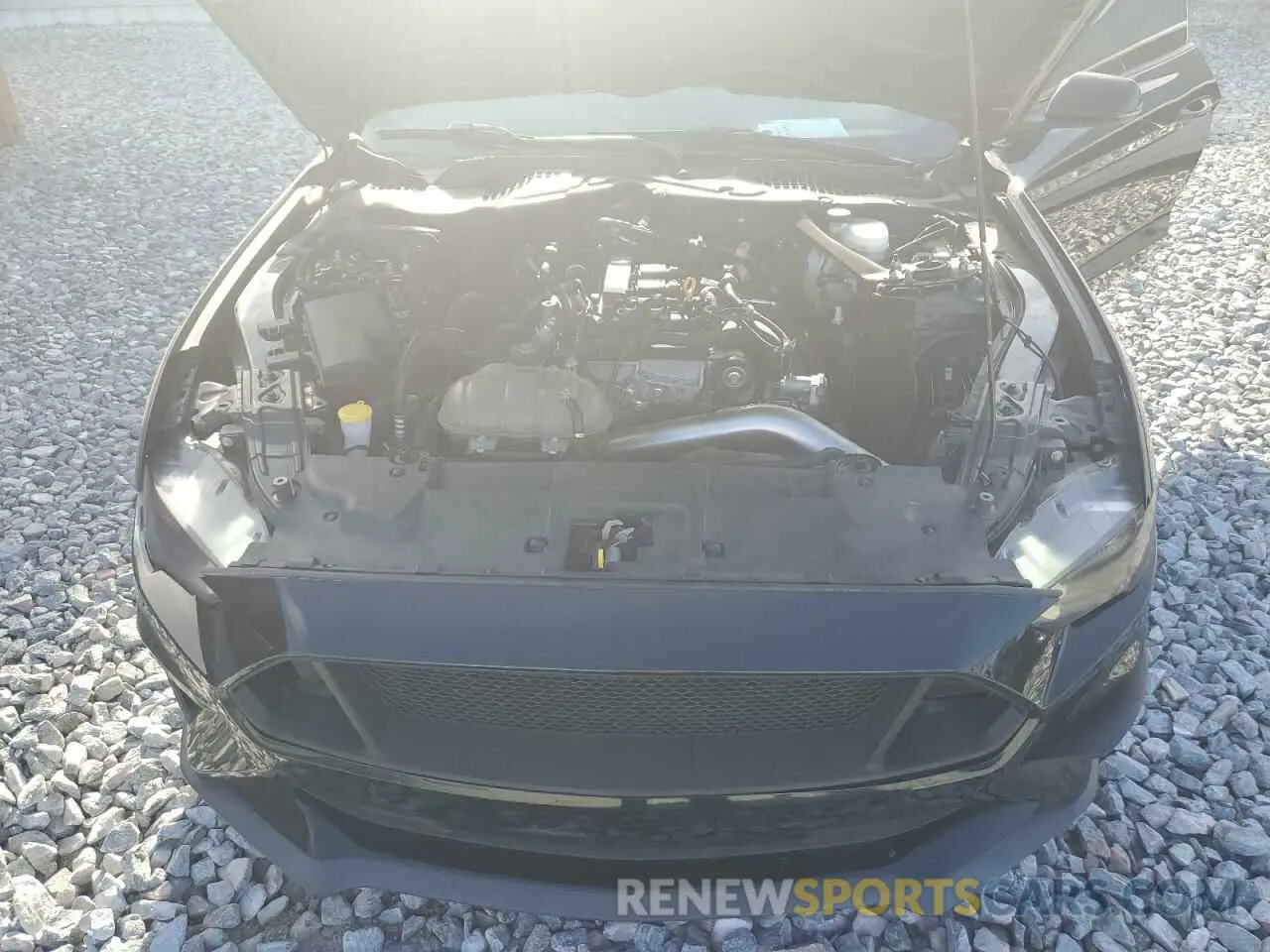 11 Photograph of a damaged car 1FATP8UH1K5162139 FORD ALL Models 2019
