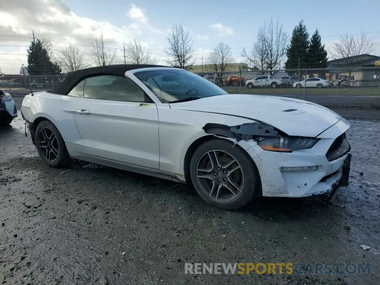 4 Photograph of a damaged car 1FATP8UH2K5148623 FORD ALL Models 2019