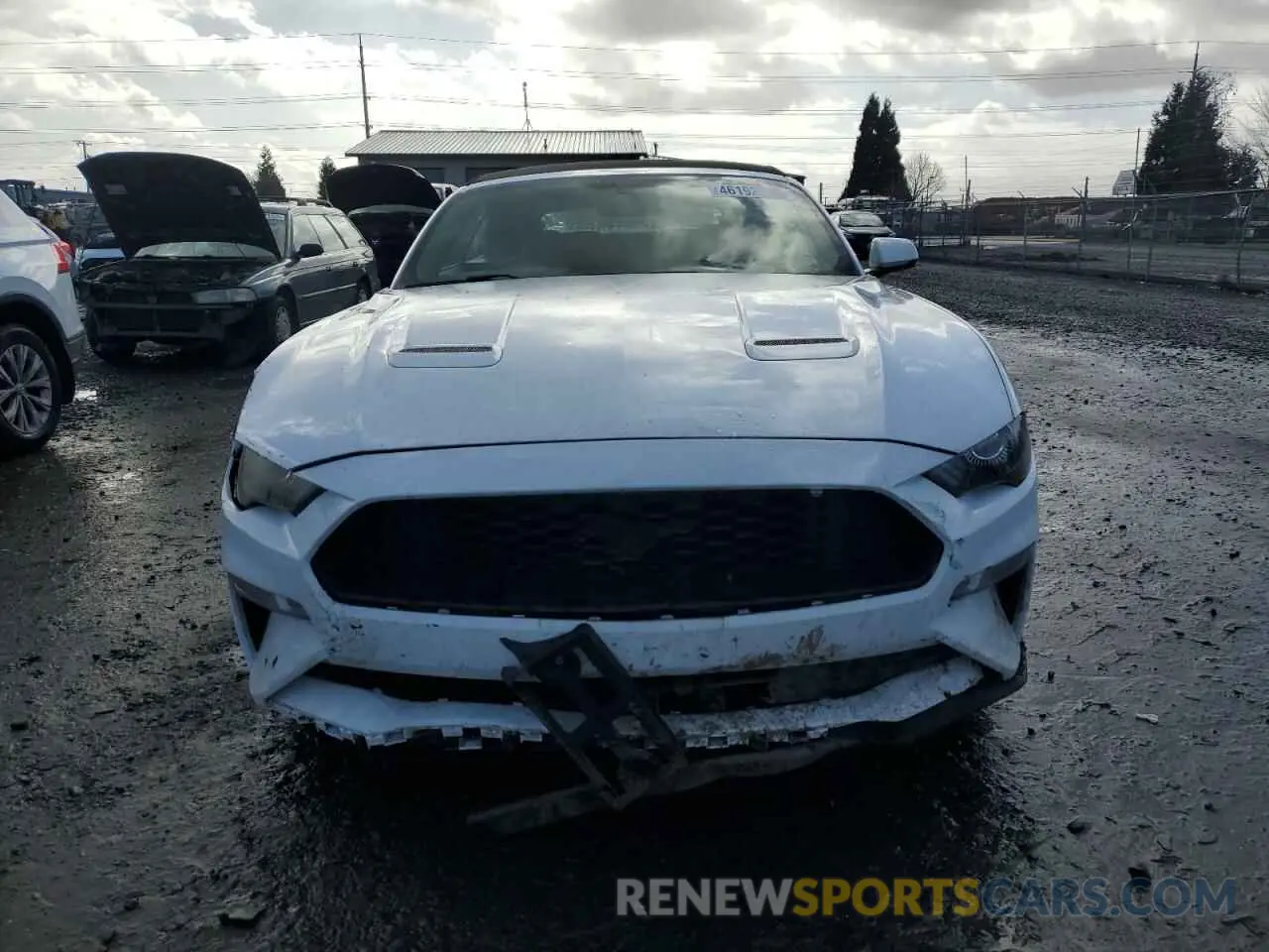 5 Photograph of a damaged car 1FATP8UH2K5148623 FORD ALL Models 2019