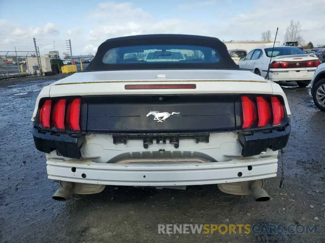 6 Photograph of a damaged car 1FATP8UH2K5148623 FORD ALL Models 2019