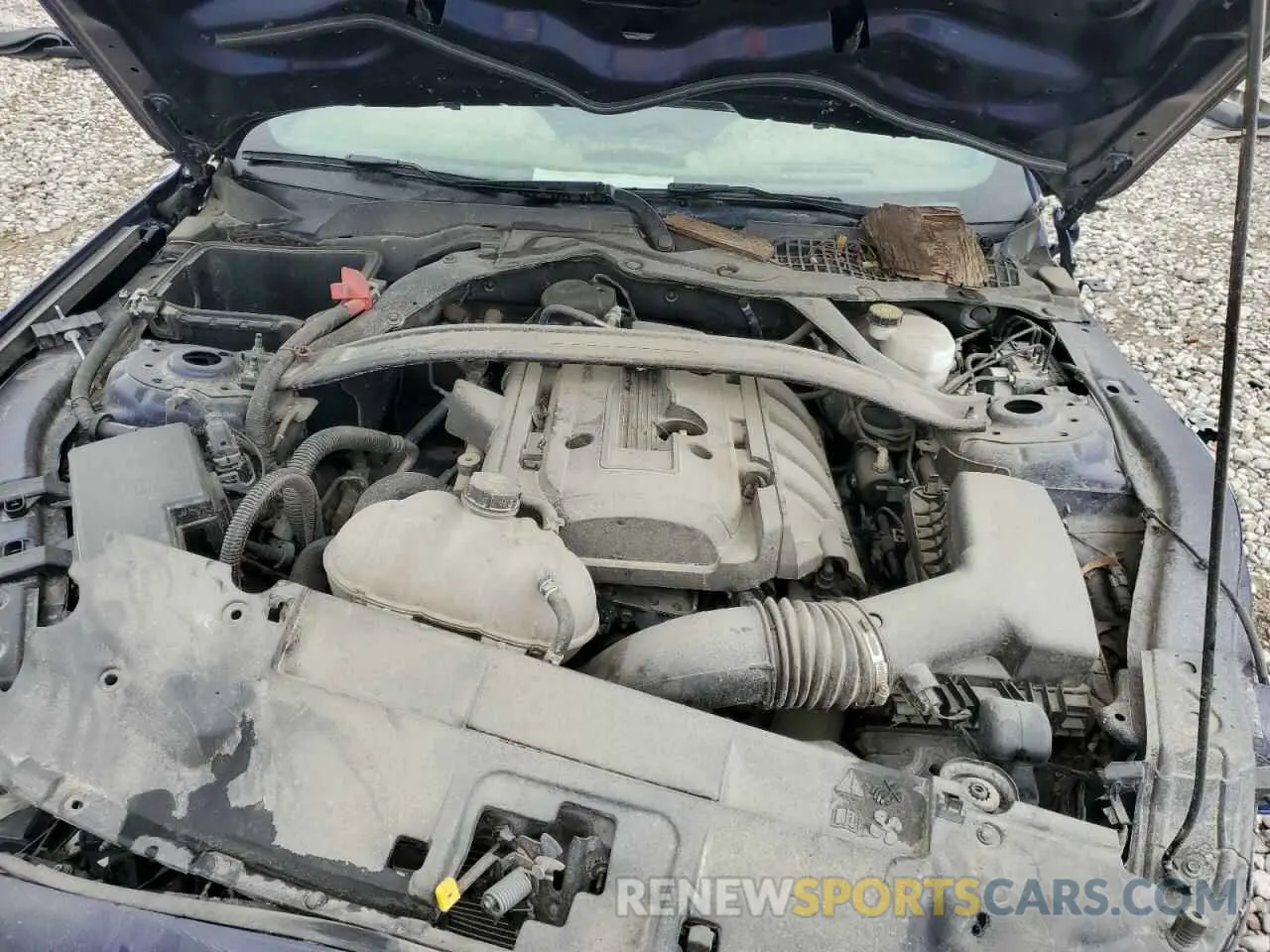 11 Photograph of a damaged car 1FATP8UH3K5171344 FORD ALL Models 2019