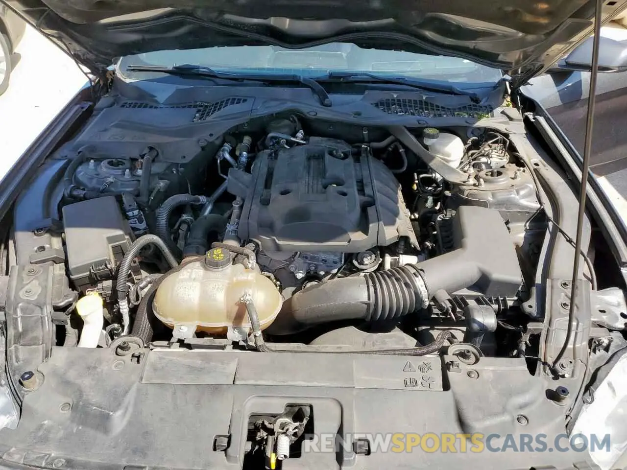 11 Photograph of a damaged car 1FATP8UH3K5181596 FORD ALL Models 2019