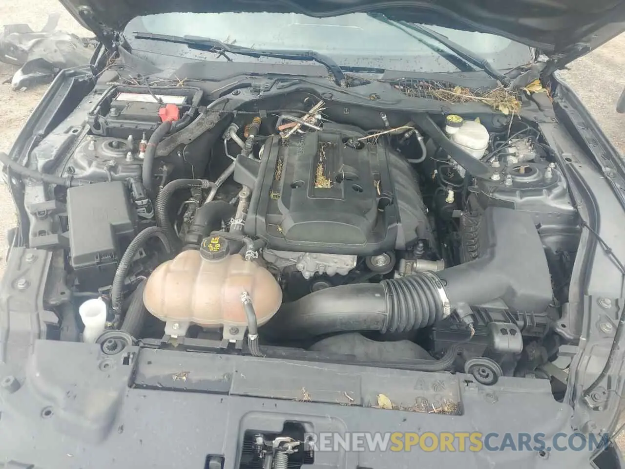 11 Photograph of a damaged car 1FATP8UH3K5181663 FORD ALL Models 2019