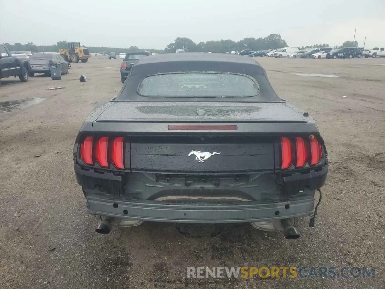6 Photograph of a damaged car 1FATP8UH3K5181663 FORD ALL Models 2019