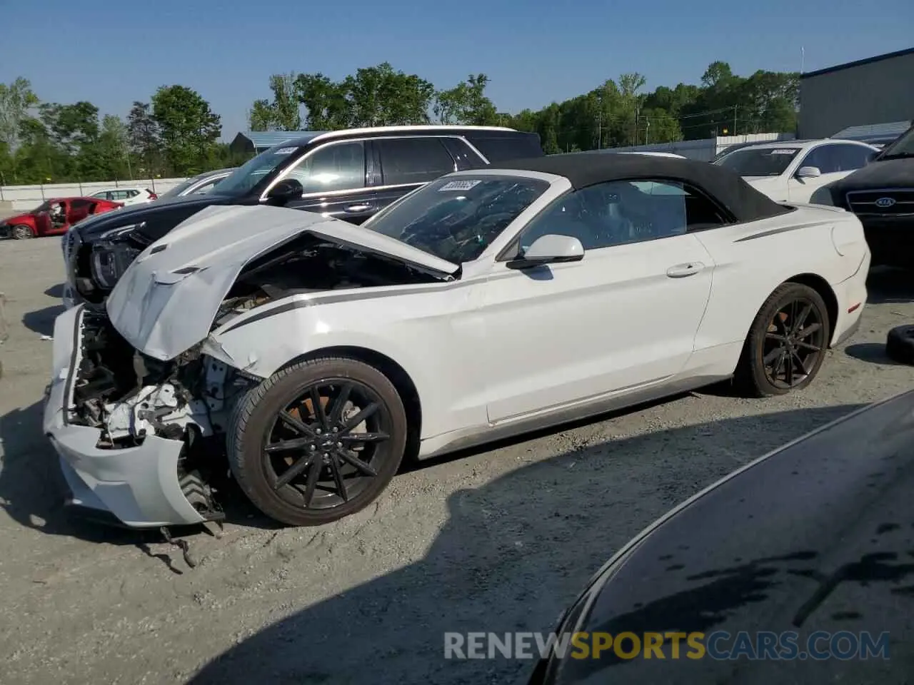 1 Photograph of a damaged car 1FATP8UH4K5149952 FORD ALL Models 2019
