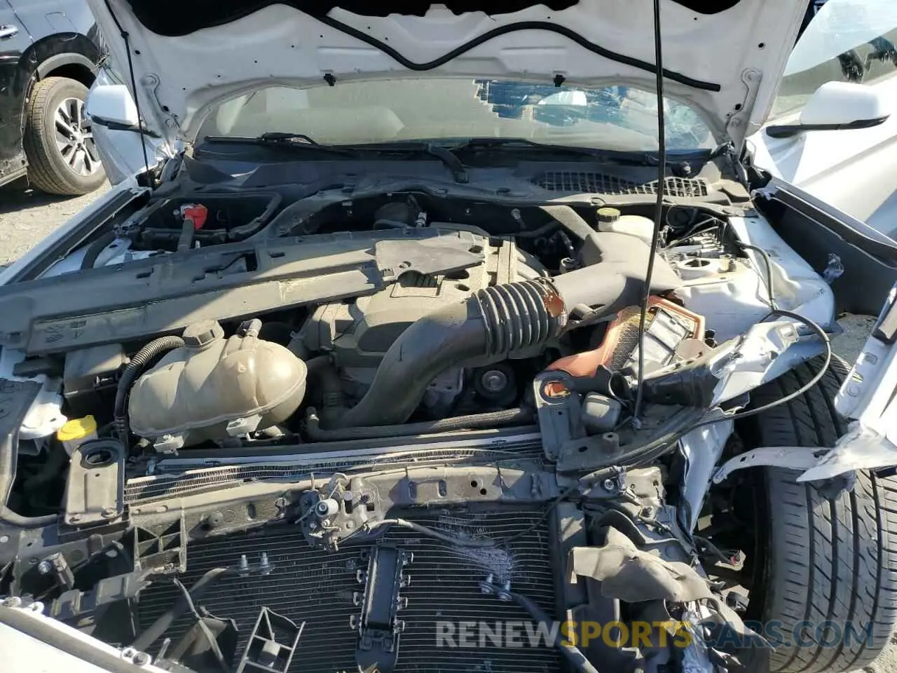 11 Photograph of a damaged car 1FATP8UH4K5149952 FORD ALL Models 2019