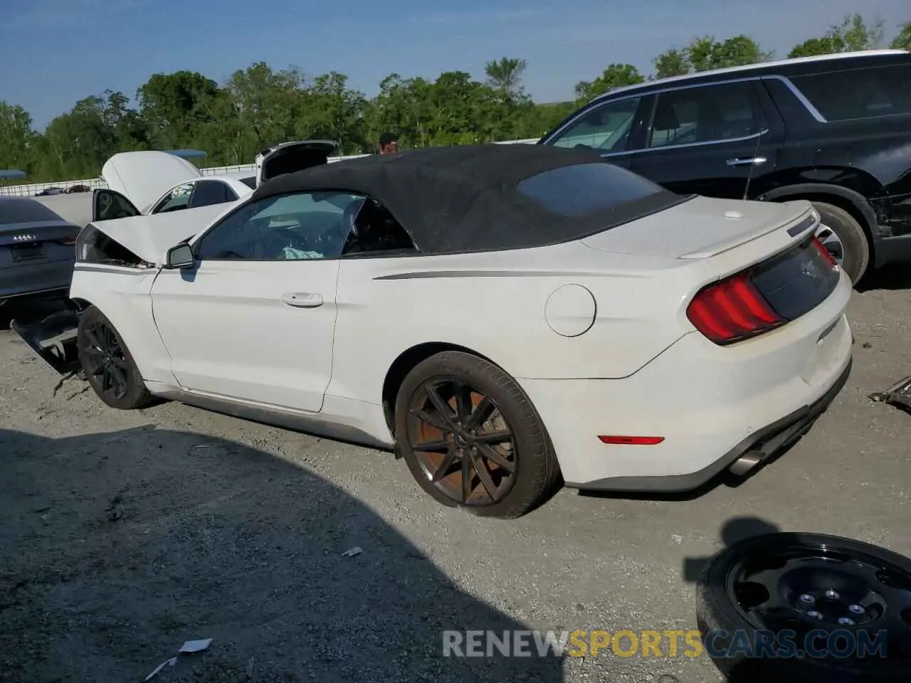 2 Photograph of a damaged car 1FATP8UH4K5149952 FORD ALL Models 2019
