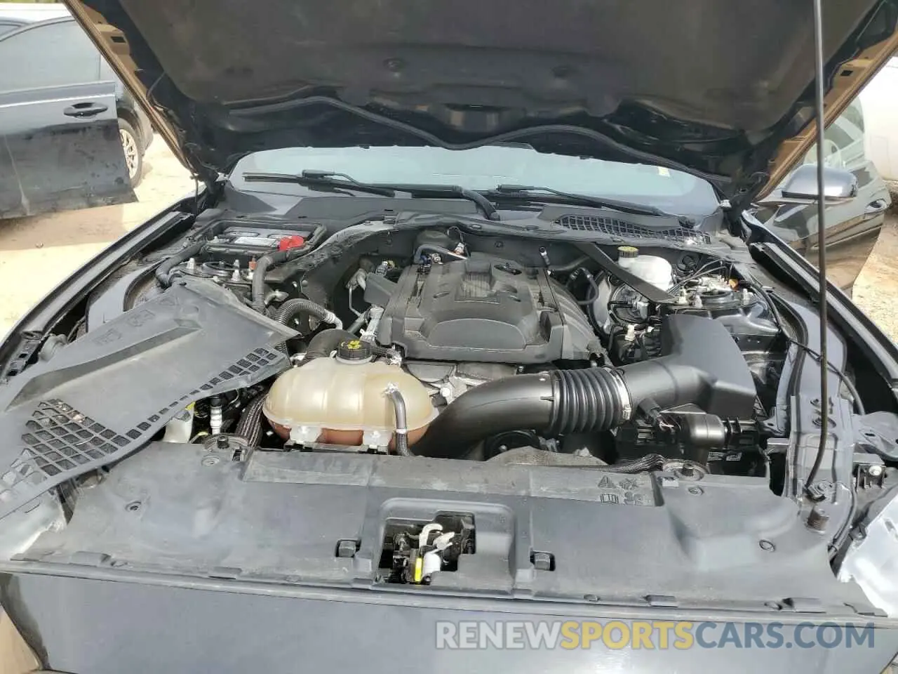 12 Photograph of a damaged car 1FATP8UH4K5158456 FORD ALL Models 2019