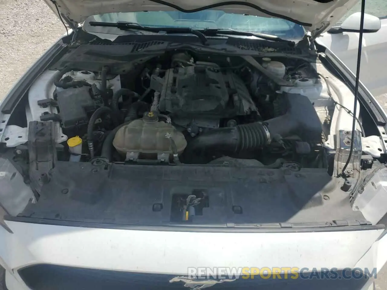 11 Photograph of a damaged car 1FATP8UH4K5170476 FORD ALL Models 2019