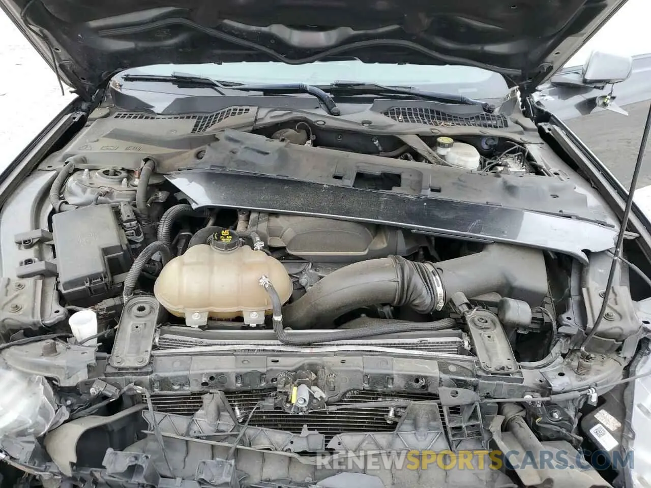 11 Photograph of a damaged car 1FATP8UH7K5150822 FORD ALL Models 2019