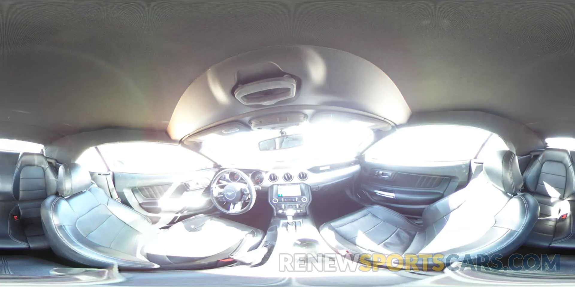 12 Photograph of a damaged car 1FATP8UH7K5151548 FORD ALL Models 2019