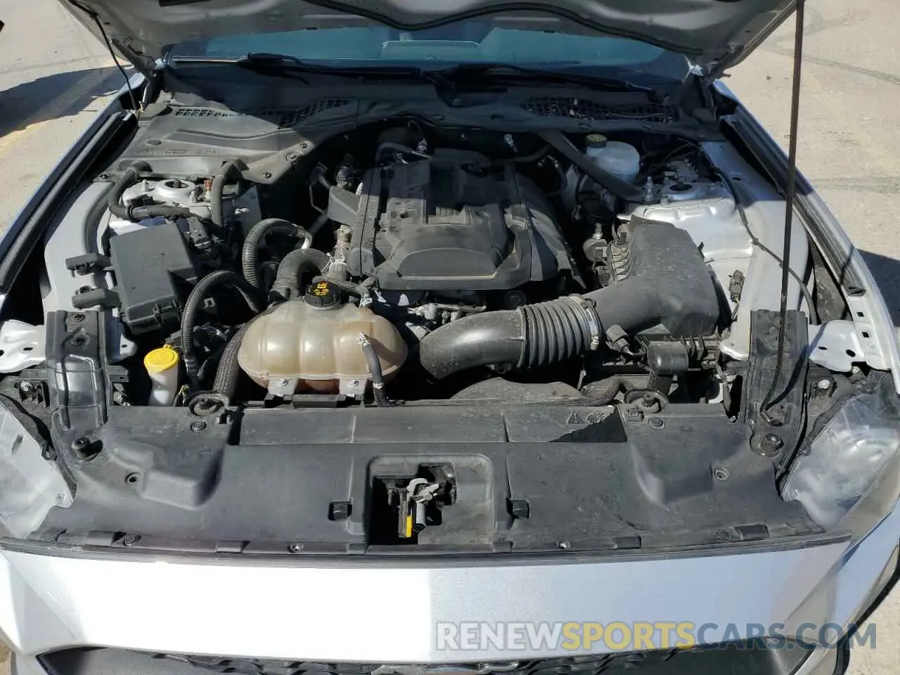 13 Photograph of a damaged car 1FATP8UH7K5151548 FORD ALL Models 2019