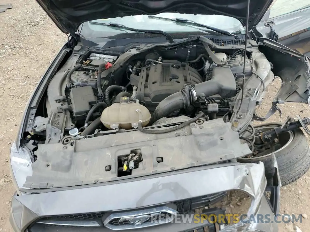 11 Photograph of a damaged car 1FATP8UH7K5176885 FORD ALL Models 2019