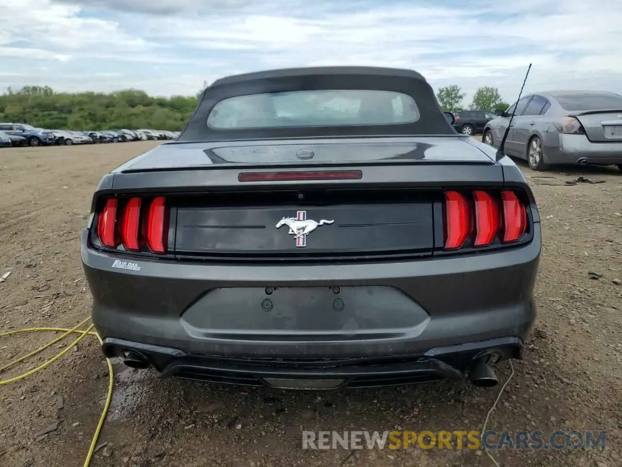 6 Photograph of a damaged car 1FATP8UH7K5176885 FORD ALL Models 2019