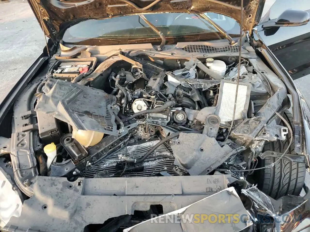 13 Photograph of a damaged car 1FATP8UH9K5182056 FORD ALL Models 2019