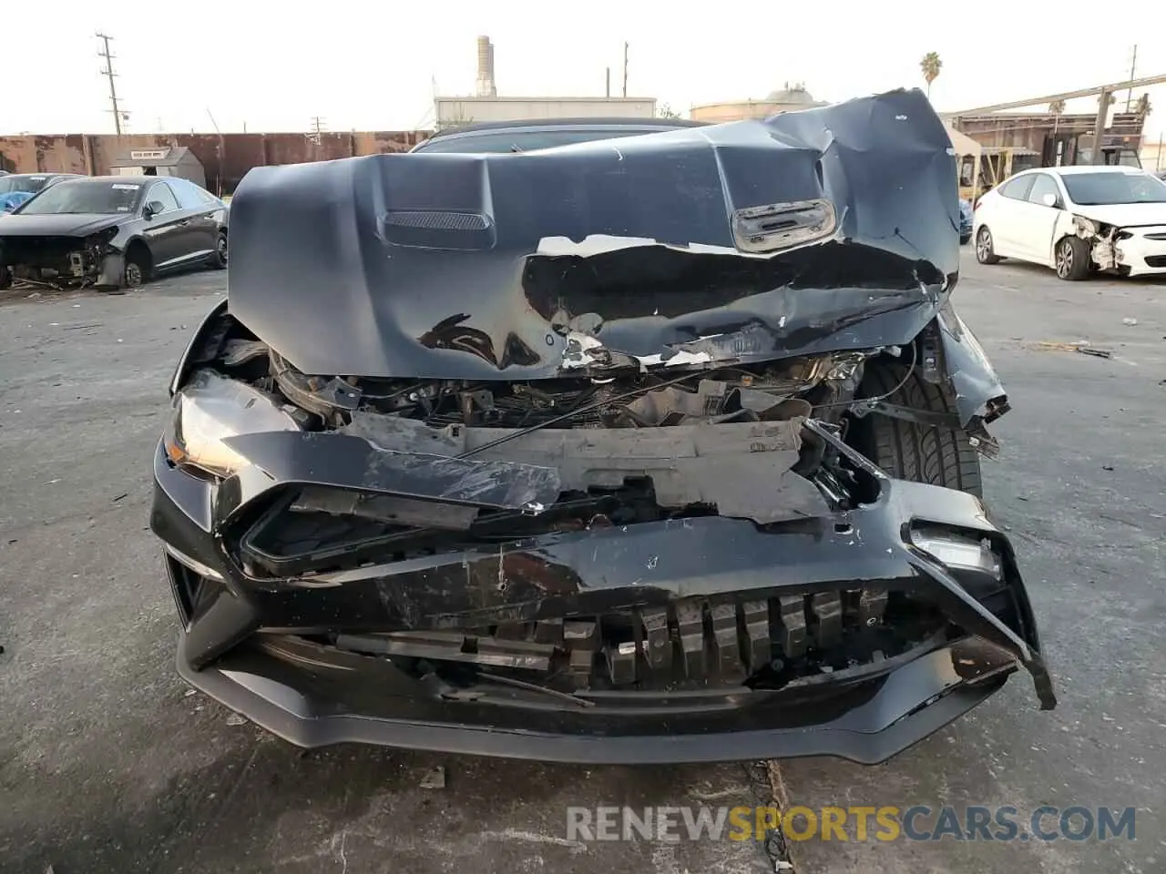 5 Photograph of a damaged car 1FATP8UH9K5182056 FORD ALL Models 2019